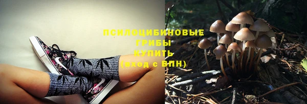 каннабис Арсеньев