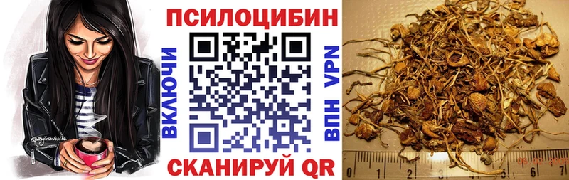 продажа наркотиков  Горнозаводск  Псилоцибиновые грибы мицелий 
